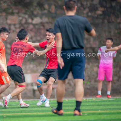 两个重叠的圆形代表数据对比，蓝色与红色交织